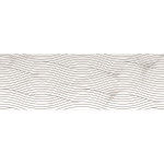 RLV TEBER